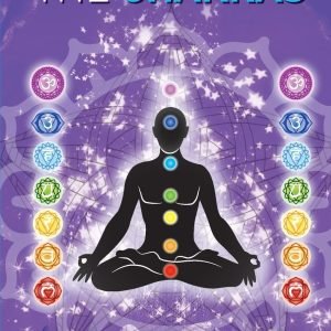 A Beginner’s Guide to the Chakras
